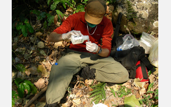 Photo of graduate student Brian Szekely conducting a fecal analysis on chimpanzee stool samples.