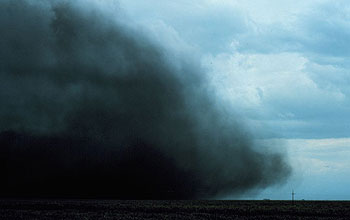 Microburst caught on film