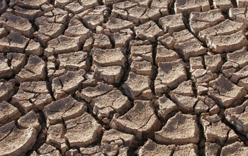 Close up image of cracks open in the land in Sonoran desert