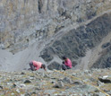Photo of Bill Morris and Alex Rose measuring plants in an alpine cirque.