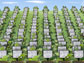 An artists rendition of a server farm, showing rows of computers planted like crops.