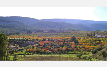 Photo of a Mediterranean landscape.