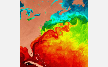 northward flow of Gulf Stream along Eastern U.S., which diverges into the Atlantic.
