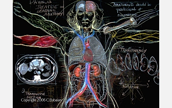 "A DaVinci Blackboard Lesson in Multi-Conceptual Anatomy"