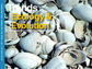 Cover of the January, 2011 issue of the journal Trends in Ecology and Evolution.