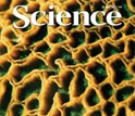 Capa da revista <em>Science</em>.