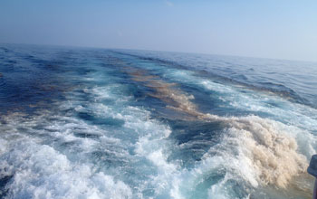 Photo of  oil bubbles in the wake of an oceanographic research vessel.