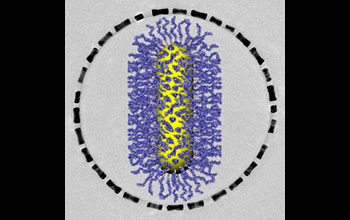 Ring-like superstructure formed by polystyrene-coated metallic nanorods