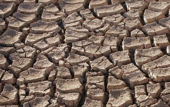 Cracked, dry earth