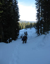 Photo of scientists snowshoeing to the NSF CZO site through mountain forests in the Sierra Nevada.