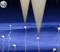 Illustration of a cubesat mission that studied lightning and gamma rays in thunderstorms.