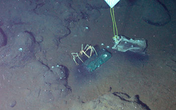 Photo of the submersible Alvin collecting samples from The Deep.