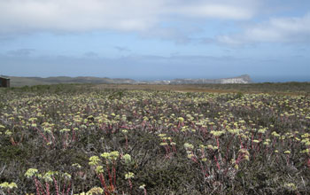 Photo of the ranger station on San Miguel Island.