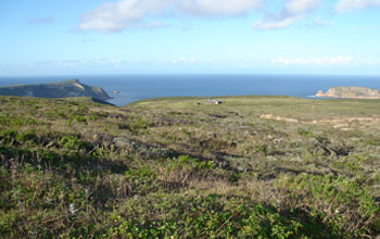 Photo of a Channel Islands landscape.