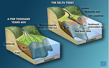 Thick, muddy delta deposit compacts under its own weight, squeezing water out