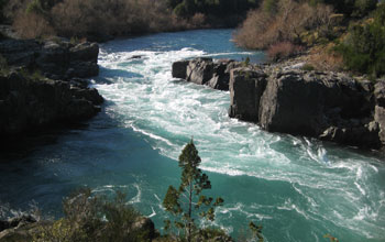 Photo of unpolluted river in Chilean Patagonia that has been invaded by Didymo.