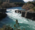 Photo of unpolluted river in Chilean Patagonia that has been invaded by Didymo.