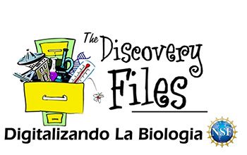 overstuffed filing cabinet with text The Discovery Files