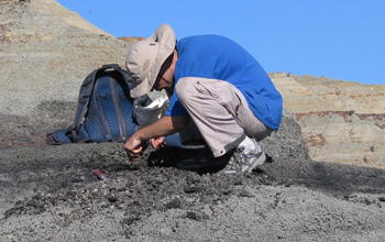 Geologist with a sample, on a mountain