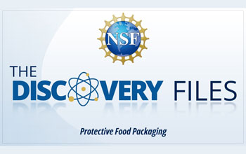 discovery files logo