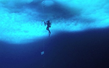 diver under water