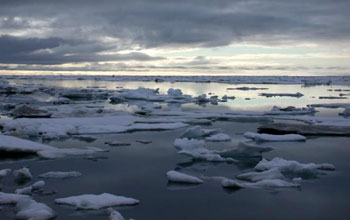 Summer pack ice, Alaska