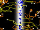 Image showing trajectories of Oxyrrhis marina in a patch of DMSP in the ocean.