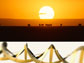 Bottom image of DNA and top photo of African animals with rising sun in background.