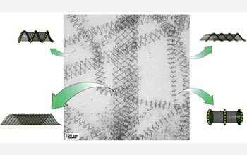 Illustration of different nanotube conformations observed in a single TEM image.