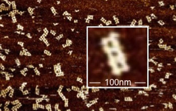 Closeu-up of a collection of pharmaceutical molecules after self-assembly.