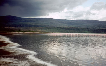 Photo of Lake Elmenteita, Kenya.