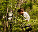 Photo of a scientist checking an understory micro-meteorological station in Mata Seca, Brazil.