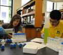 students in a lab working on samples