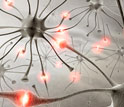 Illustration showing signals among neurons that precede an epileptic seizure.