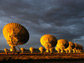 Photo of NSFs Very Large Array radio telescope in New Mexico.