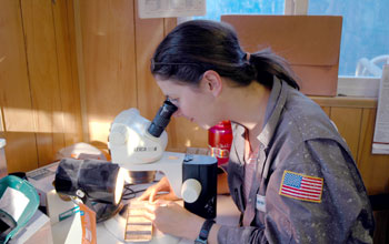 Geologist examines ground-up rock chips collected from borehole drilled at San Andreas Fault
