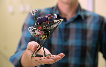Person holding small robot in his hand