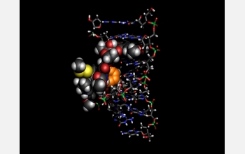 Esperamicin A1 binds to DNA immediately prior to activation of its 