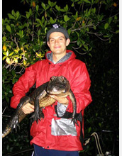 Photo of scientist Adam Rosenblatt holding a young American alligator.