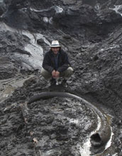 scientist standing next to outcrop containing a mammoth tusk.