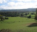 image of a field and trees in a rural area