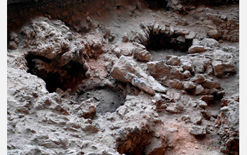 Photo of auroch remains consumed as part of a feast at a cave in Israel.