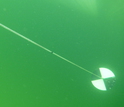 Underwater view of a Secchi disk, used to measure water clarity, dropping through the water column.