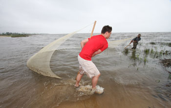 Photo of scientists David Roberts and Andrew Whitehead collecting fish in Bay St. Louis, Miss.