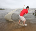 Photo of scientists David Roberts and Andrew Whitehead collecting fish in Bay St. Louis, Miss.