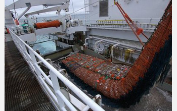 Photo of a trawl net carrying Alaskan pollock being brought aboard a U.S. vessel.