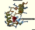 Screenshot showing empty space, large red void, in a protein's center.