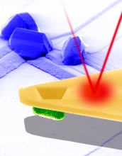 SEM image showing biological force microscopy