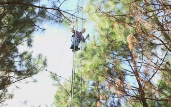 researcher in observation tower