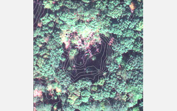 elevation contours outlining tree heights.